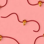 Pizza Rakhi - TheBFactory